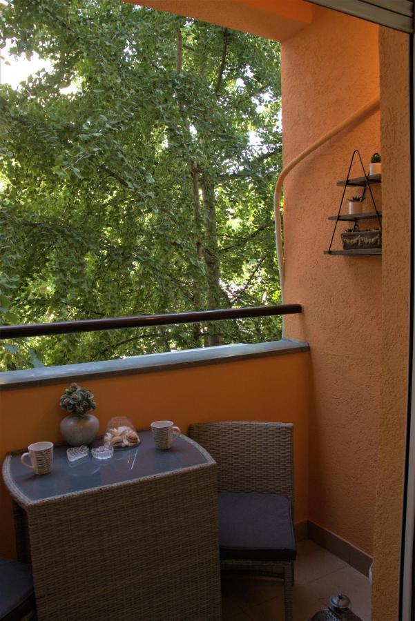 Novi Sad Apartman Tenigo מראה חיצוני תמונה